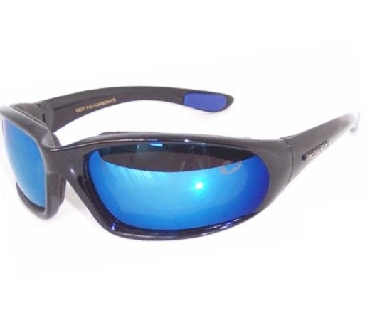 Swisssport Sunglasses SW27