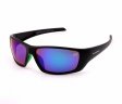 Swisssport Sunglasses - Gold Tag SW284  Swisssport Sunglasses - Gold Tag SW284